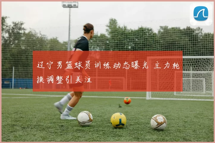 辽宁男篮球员训练动态曝光 主力轮换调整引关注