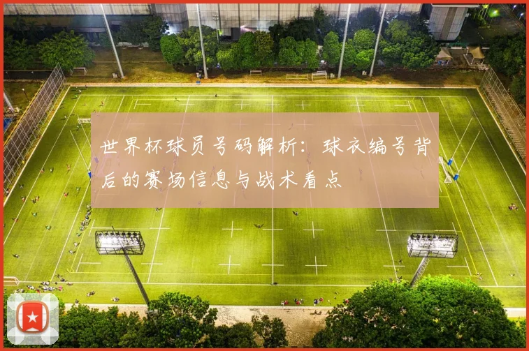 世界杯球员号码解析:球衣编号背后的赛场信息与战术看点